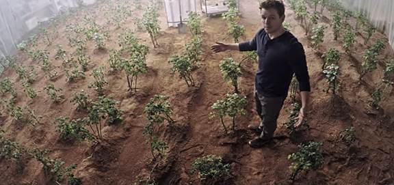 Martian-garden.png