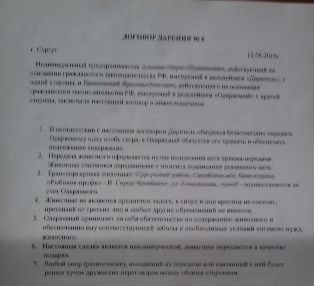 дар.png