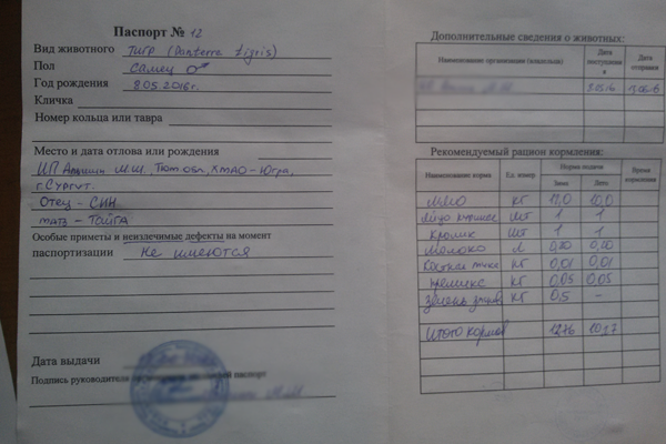 паспорт.png