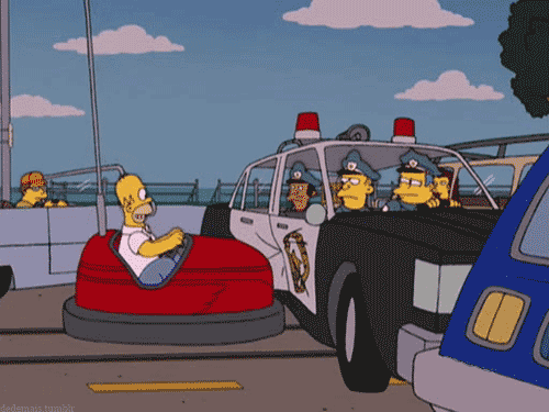 автодром.gif