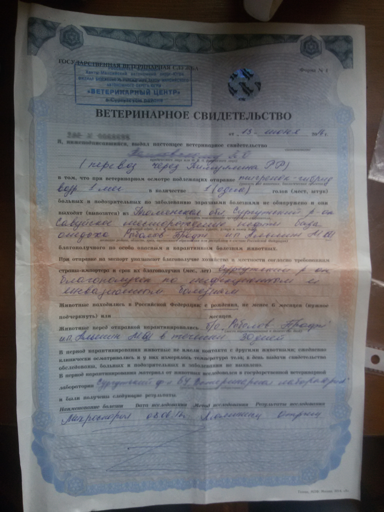 тигр-док.png