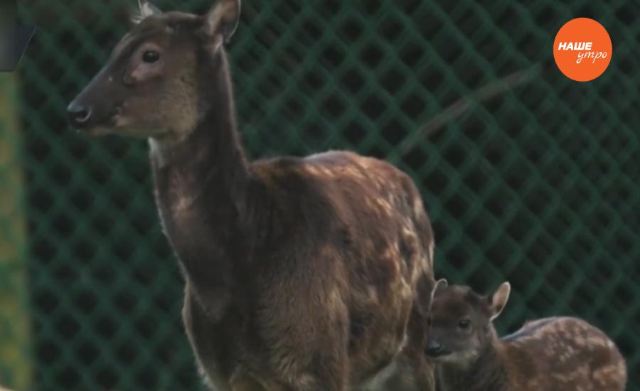 Обзор интернета 16.01.2017