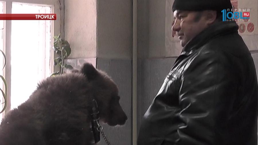 Медиахолдинг ОТВ объявил акцию по сбору продуктов и медикаментов для покалеченного медведя