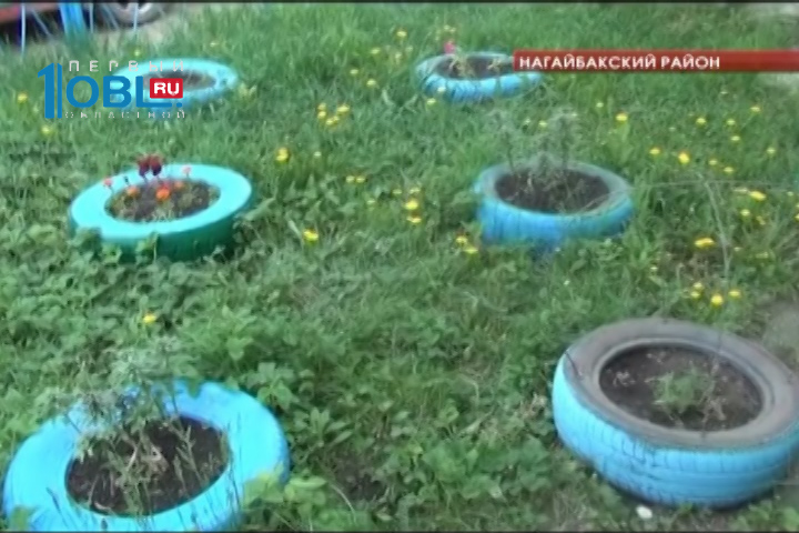 В области участились кражи цветов с клумб