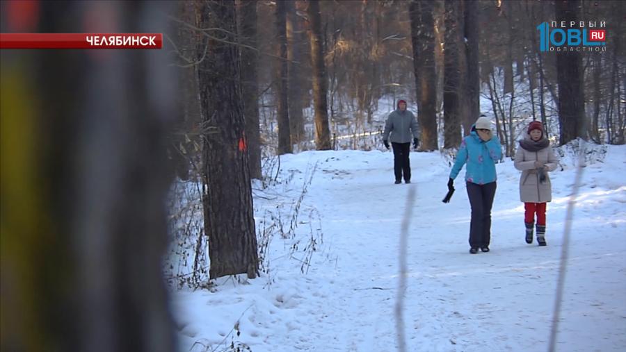 Лесники благоустроили пешую тропу для пенсионеров 