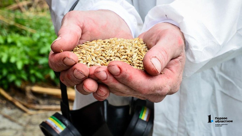 В Челябинской области ветераны СВО получат гранты на развитие фермерства