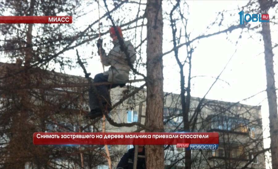 Снимать застрявшего на дереве мальчика приехали спасатели