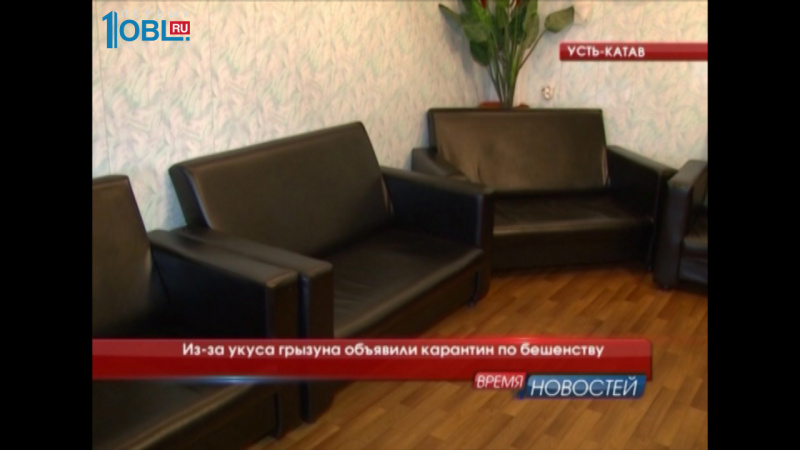 Из-за укуса грызуна объявили карантин по бешенству