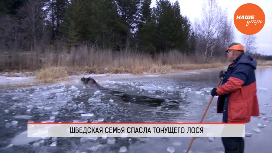 Обзор интернета за 06.02.2017