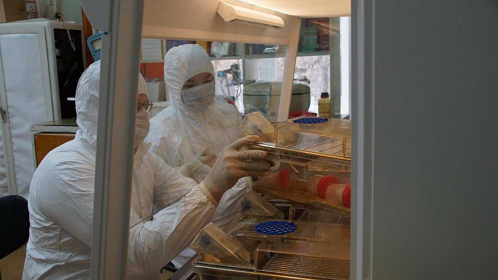 Российский научный фонд поддержал 38 проектов ученых Челябинской области