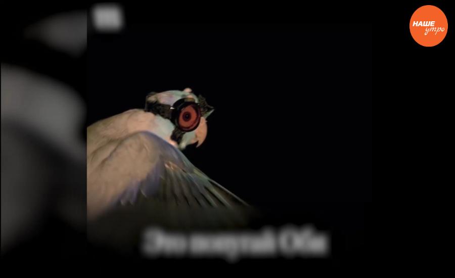 Обзор интернета за 15 декабря