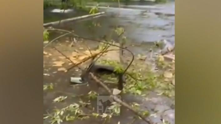 В Челябинске организовали проверку после падения бетонной плиты с крыши школы