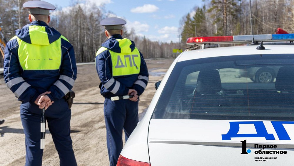 Чесменские полицейские задержали угонщика иномарки