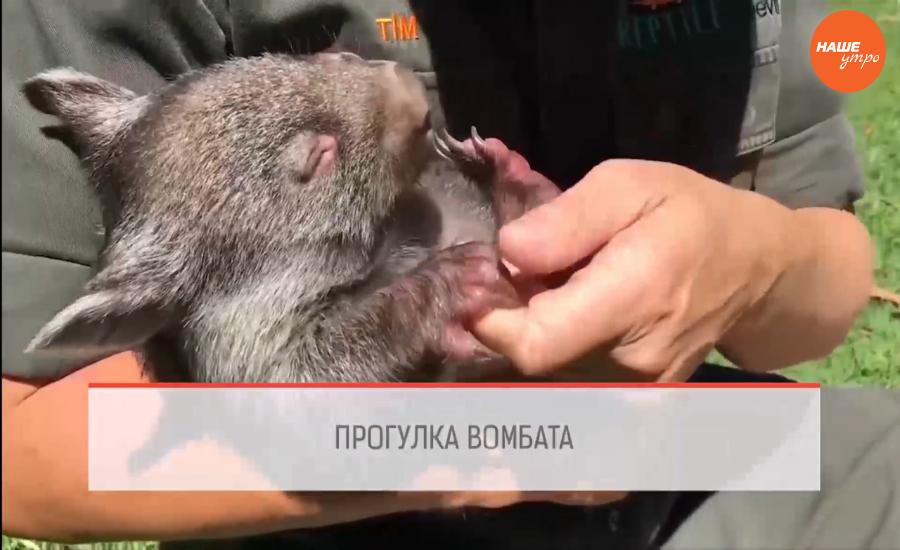 Обзор интернета за 6 декабря