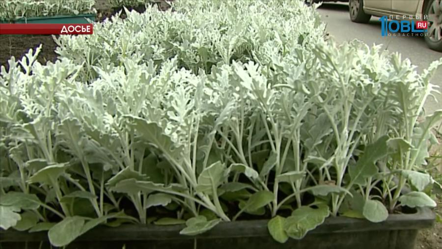 С апреля начнутся субботники на городских улицах 