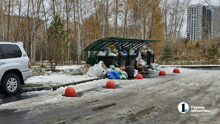 В Челябинской области график вывоза мусора сбился из‑за неубранного снега