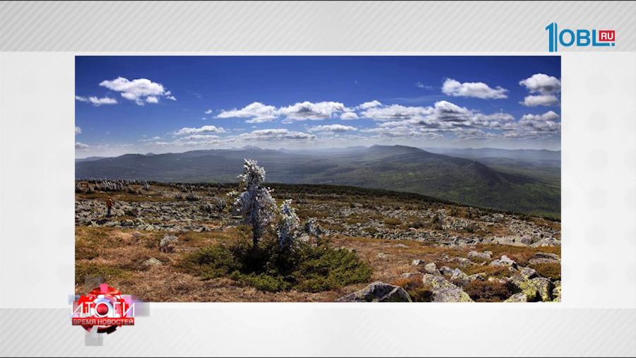 Дайджест новостей от 14.01.2017