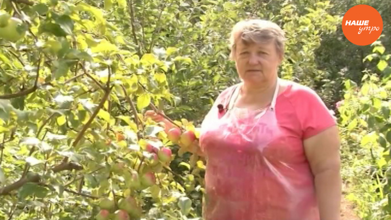 Садовые истории: Сидераты