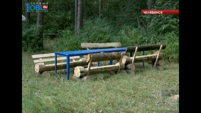 Обустройством городского бора занялась специальная бригада