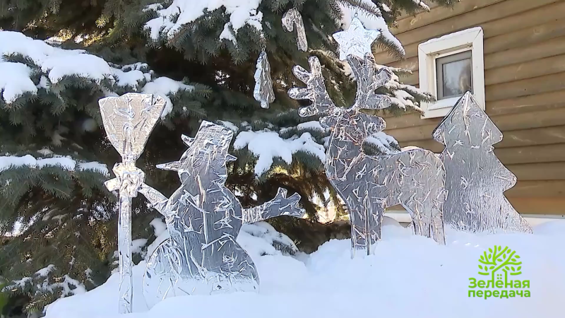 Какие работы проводить в саду в декабре?