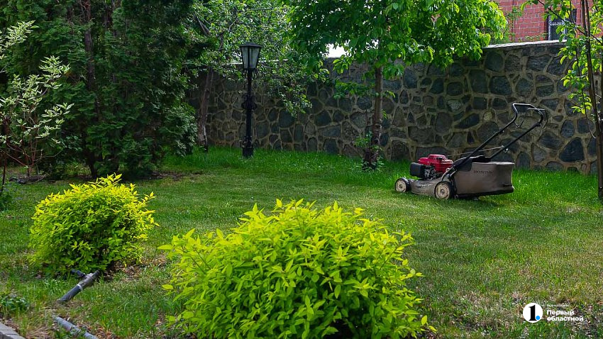 В Челябинске продажи садовой техники выросли на 41%