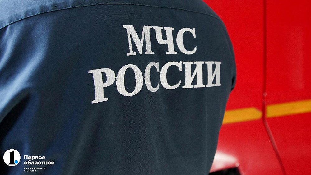 Депутат Госдумы предложила усилить охрану лесов Челябинской области от пожаров