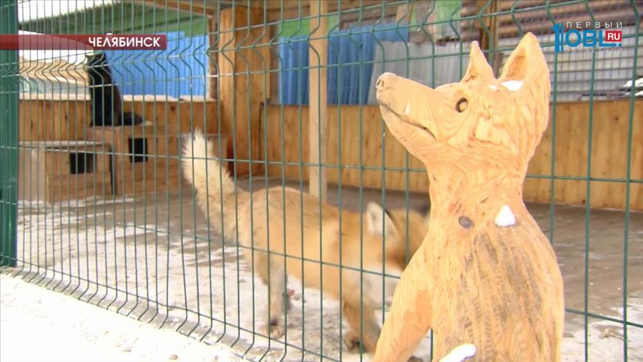 Фруктов и каш, собранных для медведя Степы, хватило и другим животным