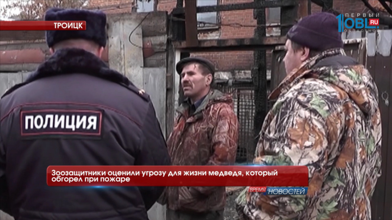 Зоозащитники оценили угрозу для жизни медведя, который обгорел при пожаре