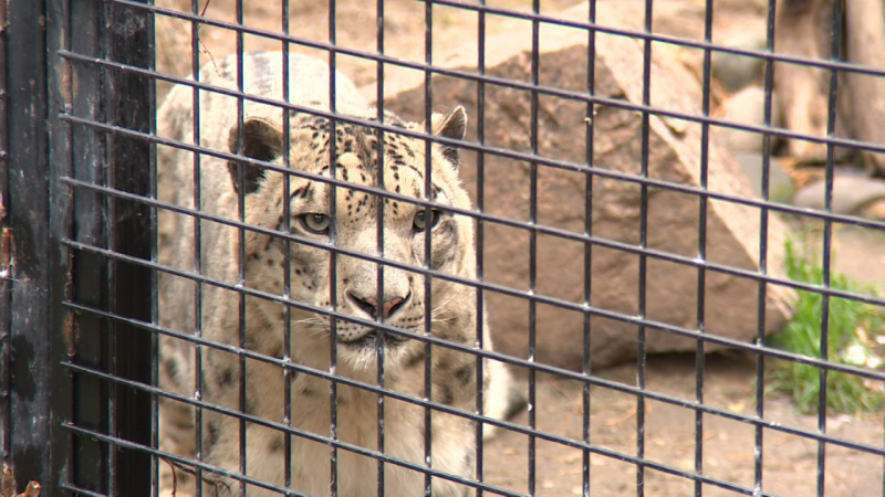 Челябинский зоопарк перешел на зимний режим работы