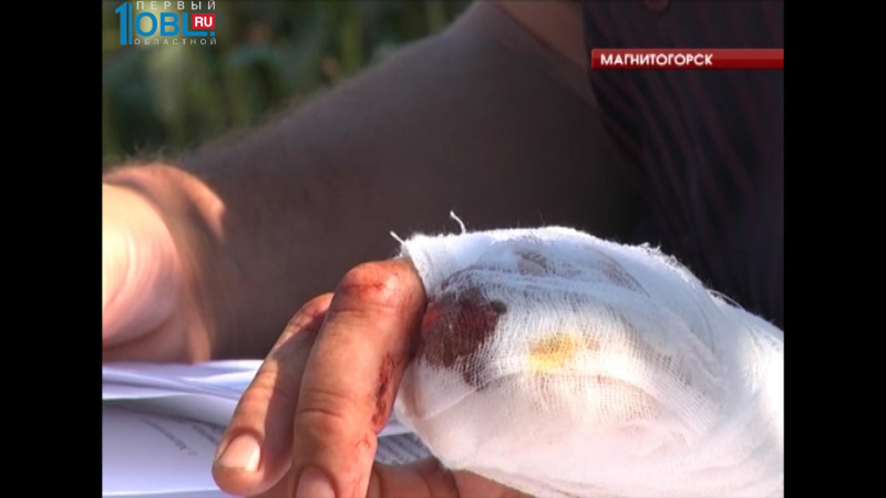 Происшествия недели 21.08.2016