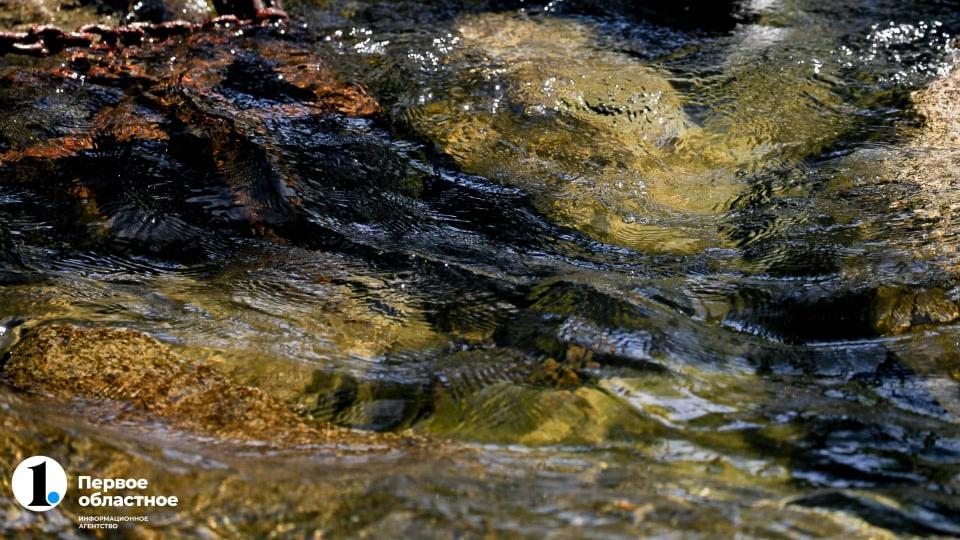 В Челябинской области полицейский спас тонущего подростка
