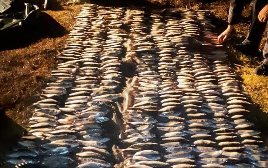 В Челябинской области браконьеров осудили за незаконную ловлю на 2 млн рублей