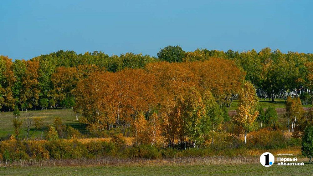 Участники СВО в Челябинской области смогут получать деньги вместо земли