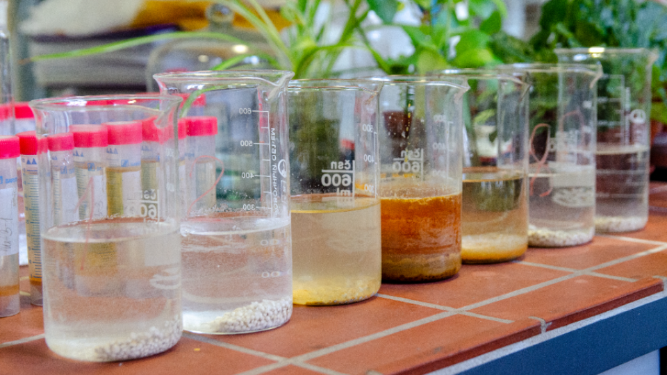 Ученые ЮУрГУ разработали материал для очистки водоемов