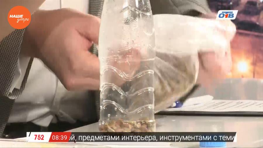 Интерактив – кормушка для кота