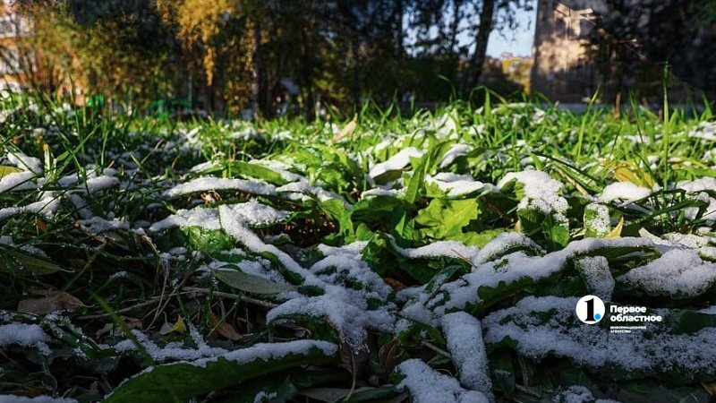 Аграрии Южного Урала из‑за снега приостановили полевые работы