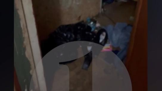 В квартире челябинки завелись клопы и тараканы из‑за соседа, устроившего дома свалку