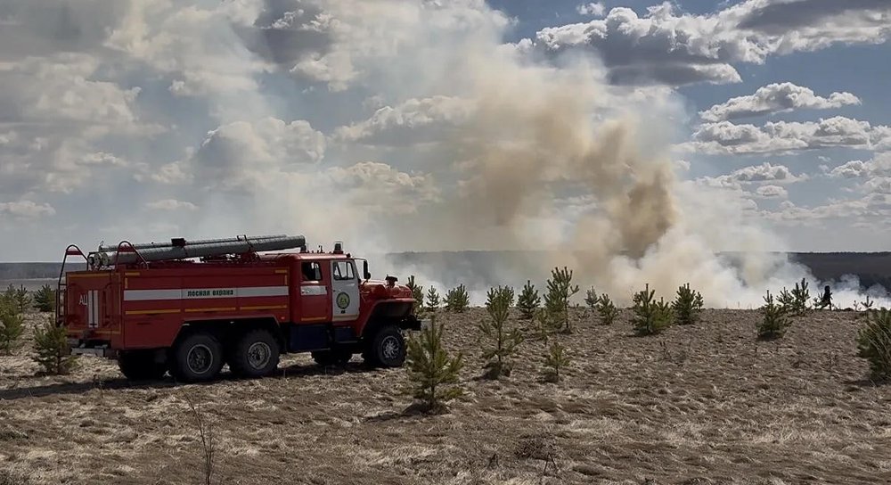 В Челябинской области ликвидировали 14 лесных пожаров за два дня