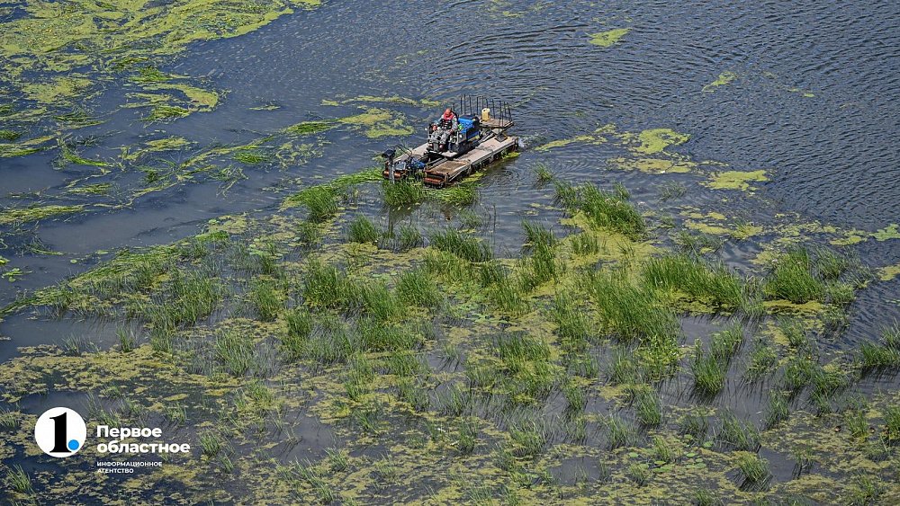 Проект реабилитации реки Миасс в Челябинске подешевел в 2,5 раза