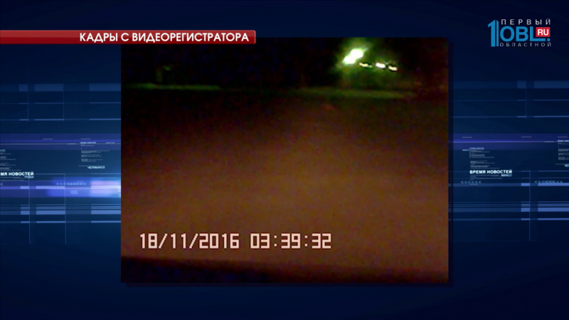 Дикую лису сняли в центре города на видео