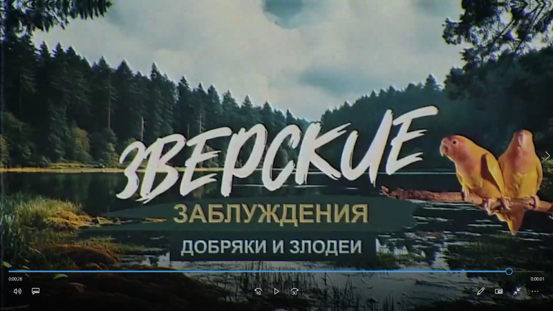Разбираемся в «Зверских заблуждениях» на ОТВ