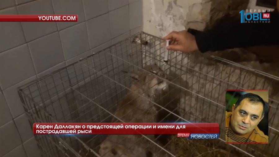 Рысь Марыся?