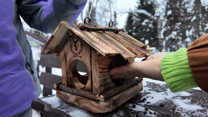 Посетители подкармливают пернатых обитателей Таганая