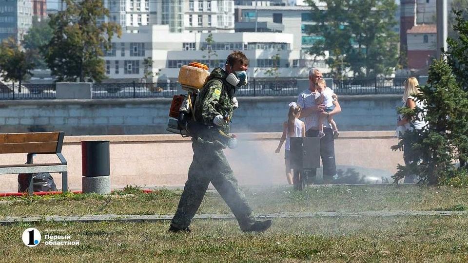 Пляжи и общественные пространства Челябинска обработают от клещей