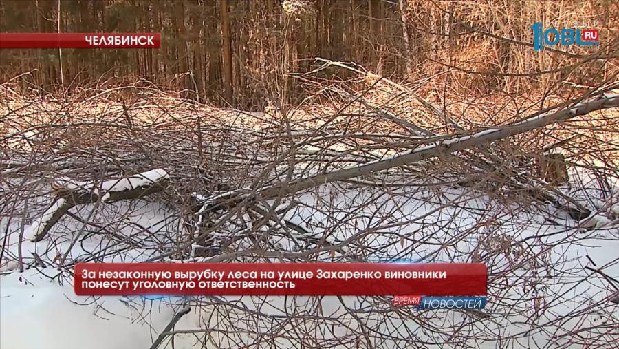За незаконную вырубку леса на улице Захаренко виновники понесут уголовную ответственность