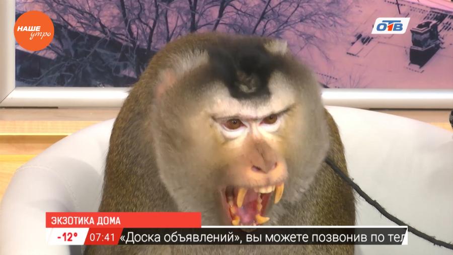 Знакомьтесь - Мистер Рик