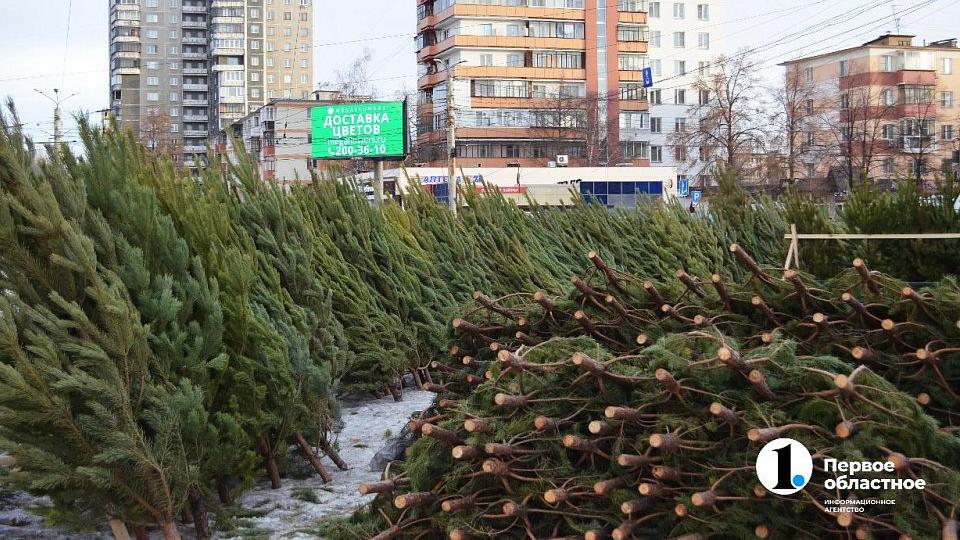 В Челябинске откроют более 100 елочных базаров