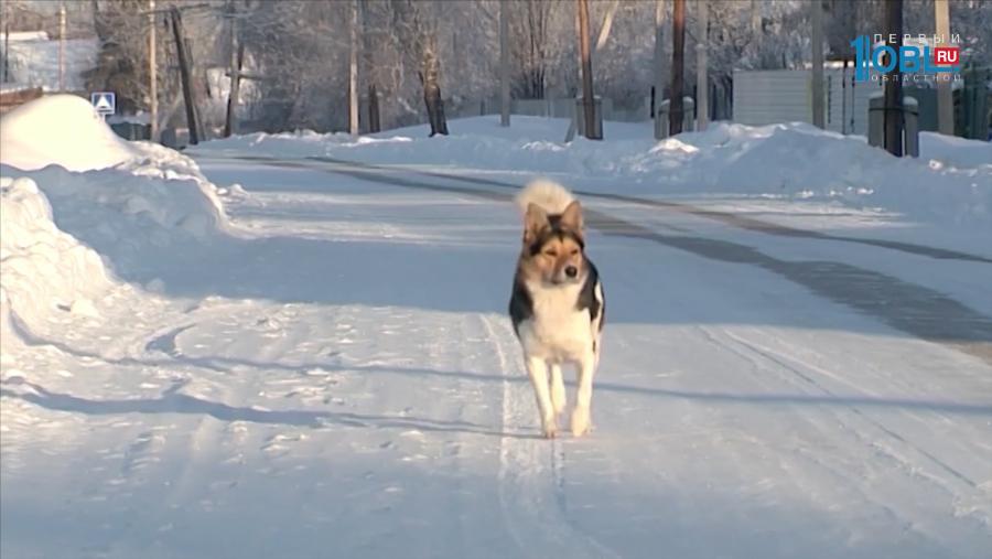 Как изменится жизнь россиян с марта 2017 года