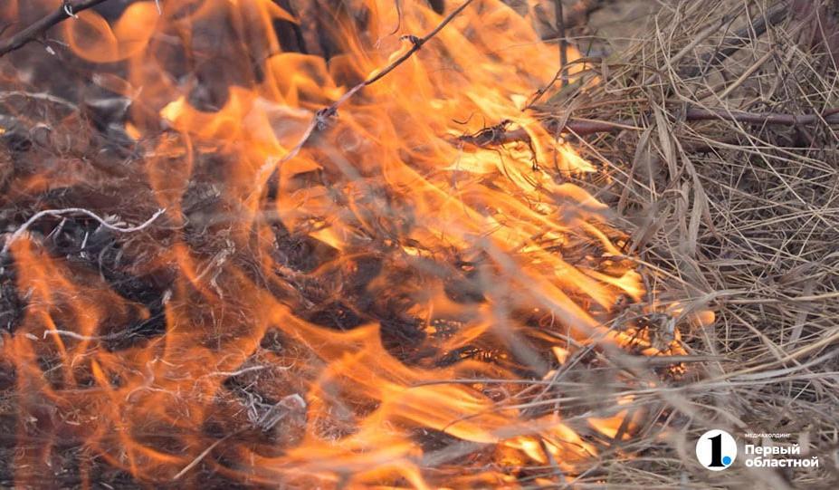 В Челябинской области объявлена высокая пожарная опасность