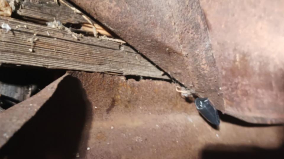 В Челябинской области полицейские задержали двух мужчин с наркотиками